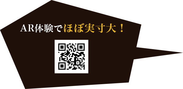 AR体験でほぼ実寸大！